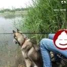 陪你一起走。