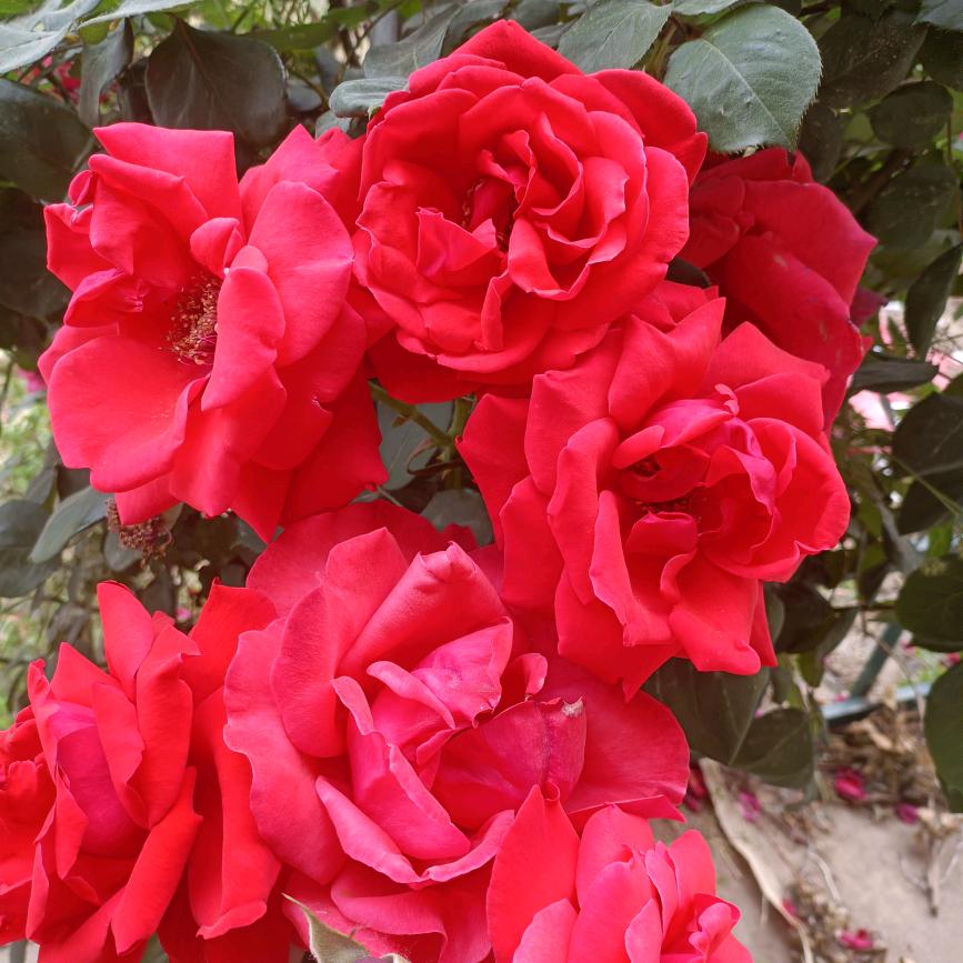 孤独的面对生活