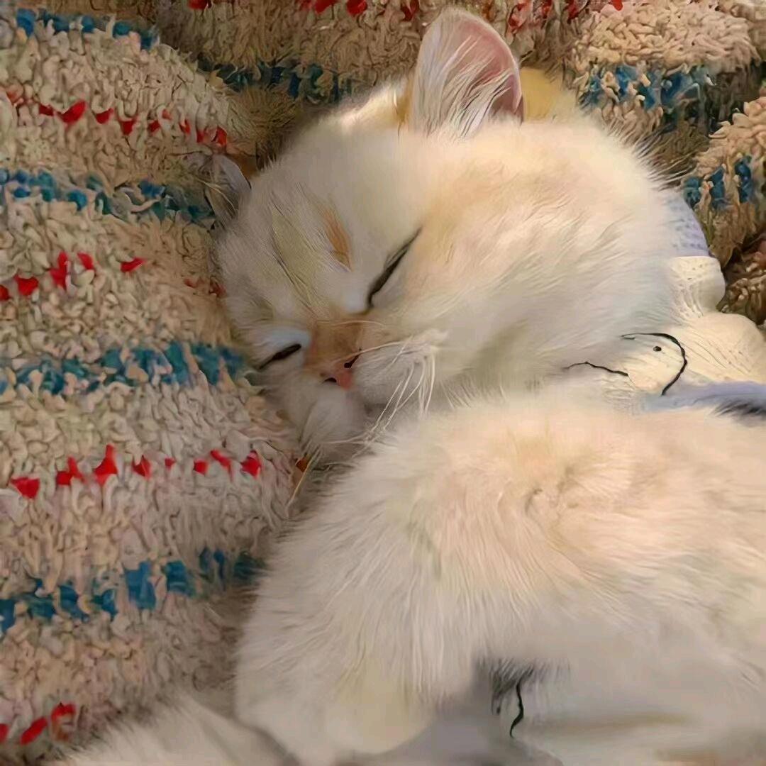 我很烦！