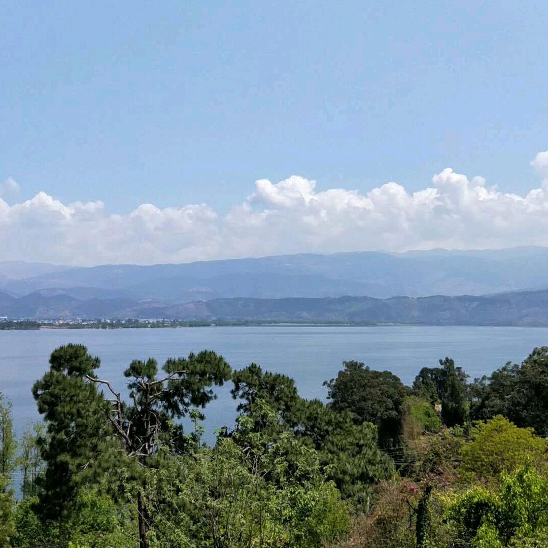 💎转身微笑🍒