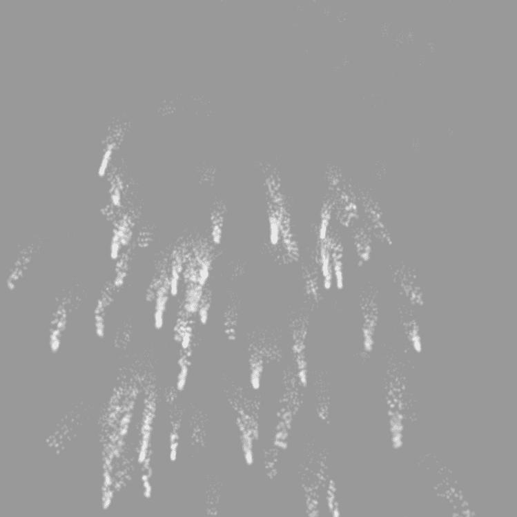 ༄༊࿆ 几个达卜刘ོྂཾ࿆࿐