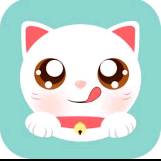 我是一只猫