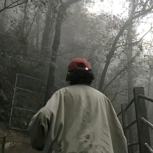 朝花夕拾🏸