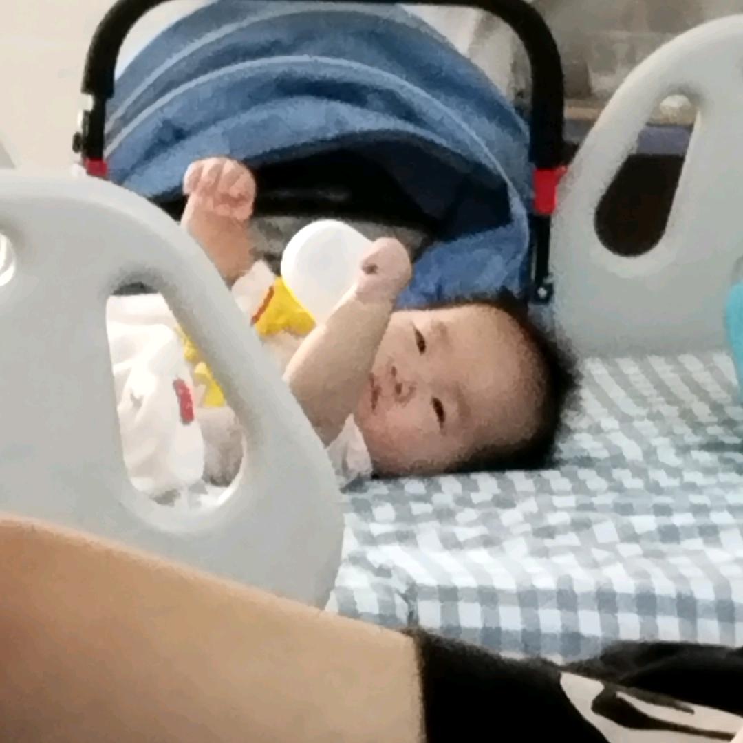 乐乐茶茶