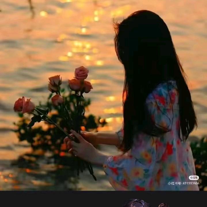 招财✨小森灵