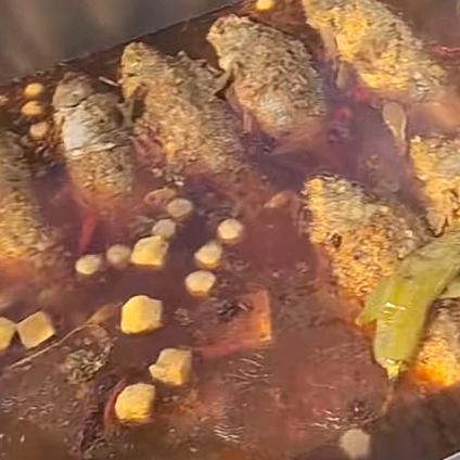 渤海路网红黄河大鲤鱼