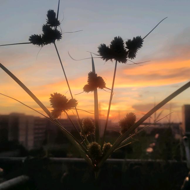 @常安