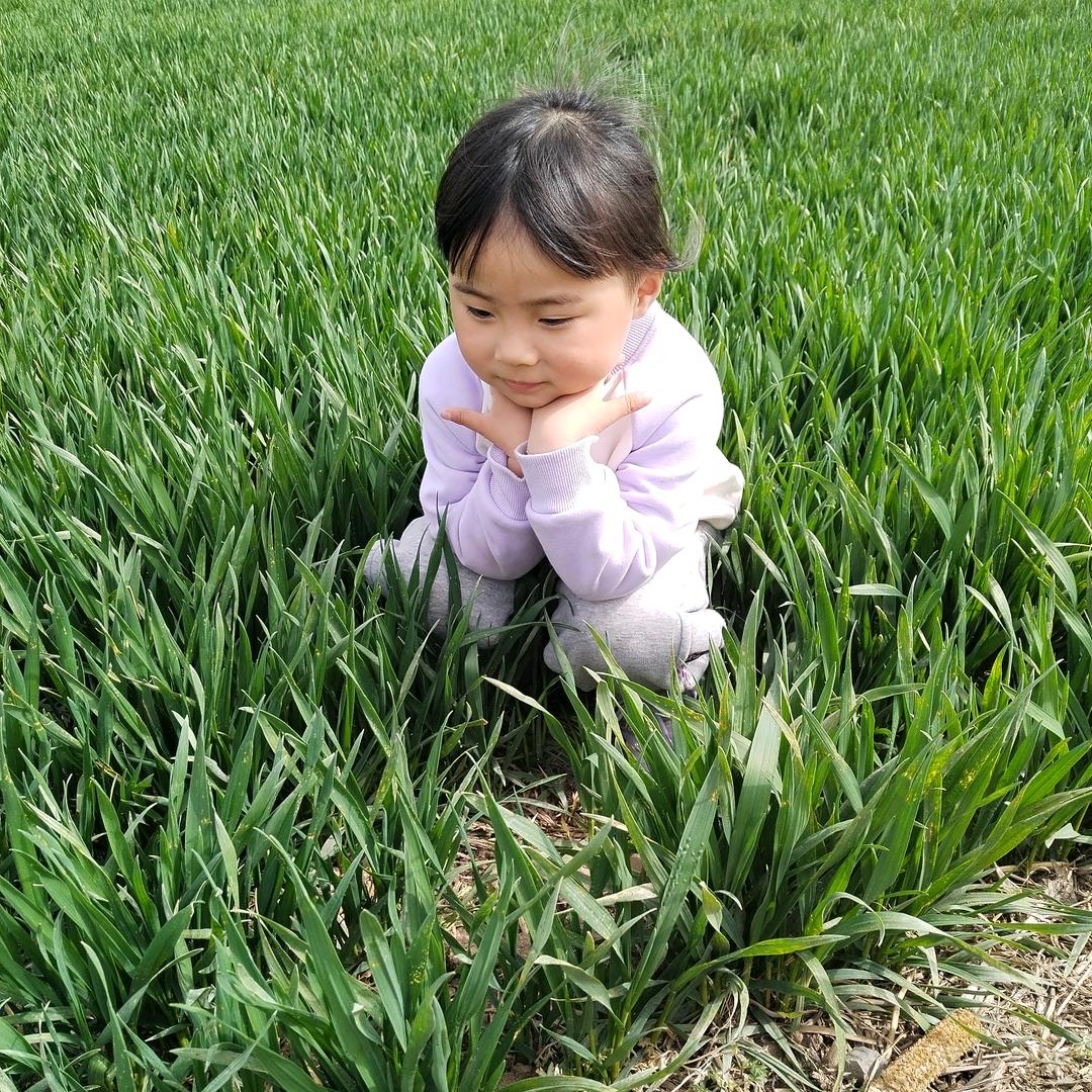吕红朔