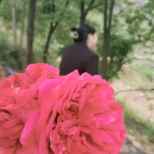 💝凤