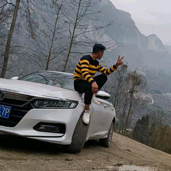 小龙龙