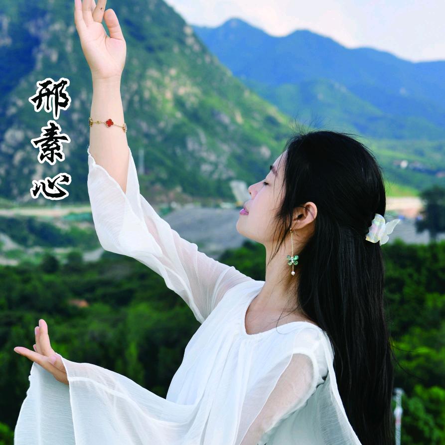 邢素心