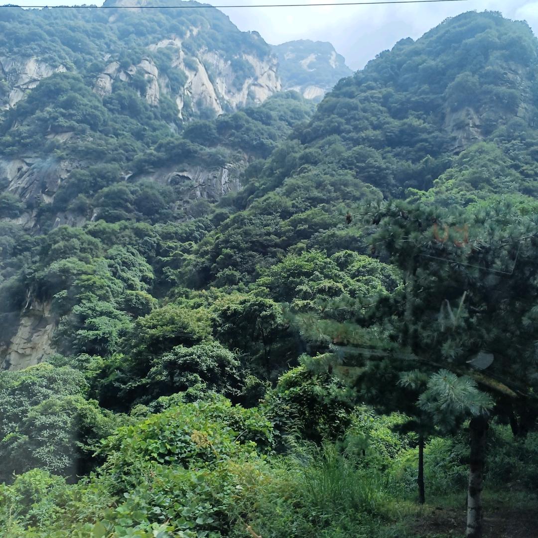 好心情胜良药