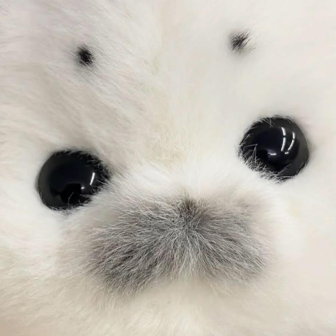 配和我说话吗就叫