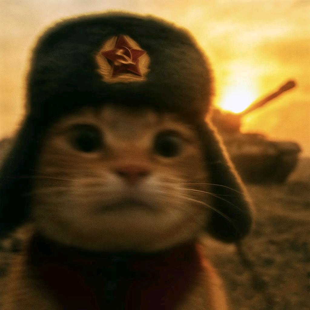 衛