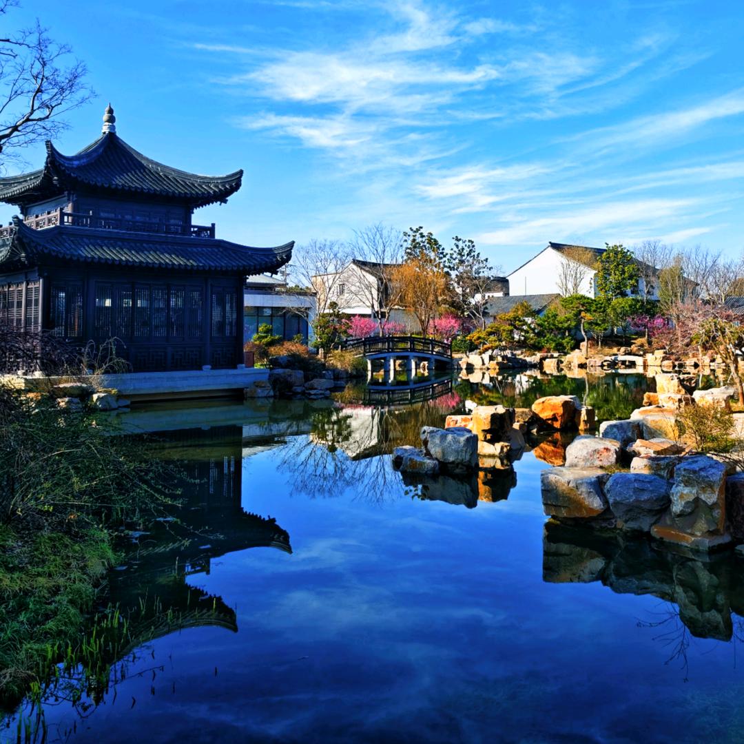 秋目苏（该用户已注销）