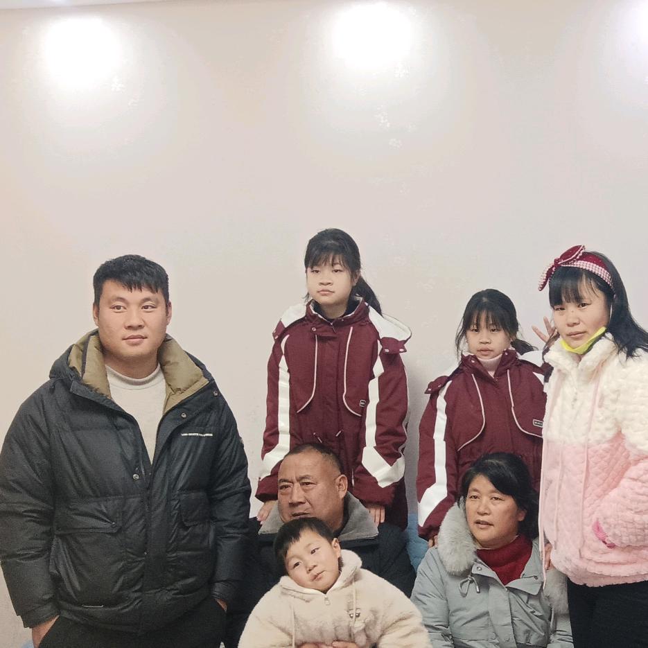 自由自在买树