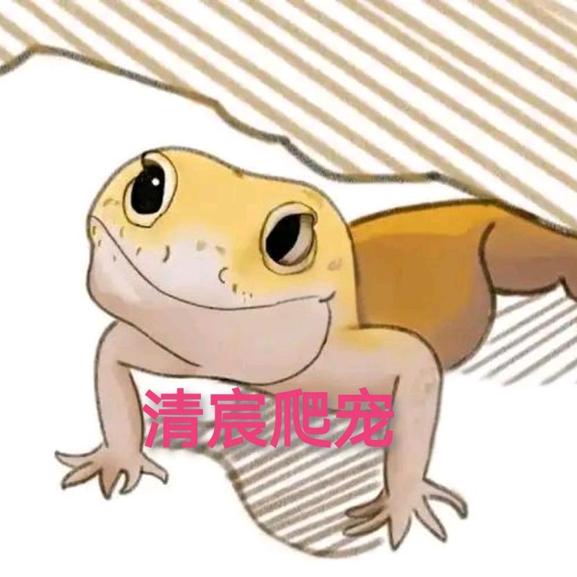 清宸爬宠