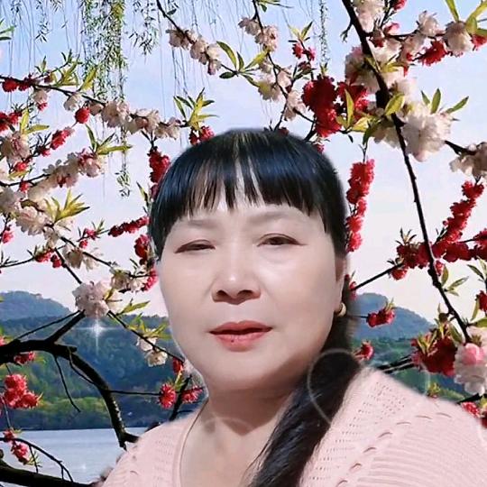 寻找梦境