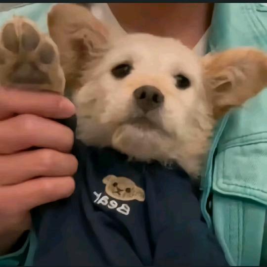 微辣中辣马达辣