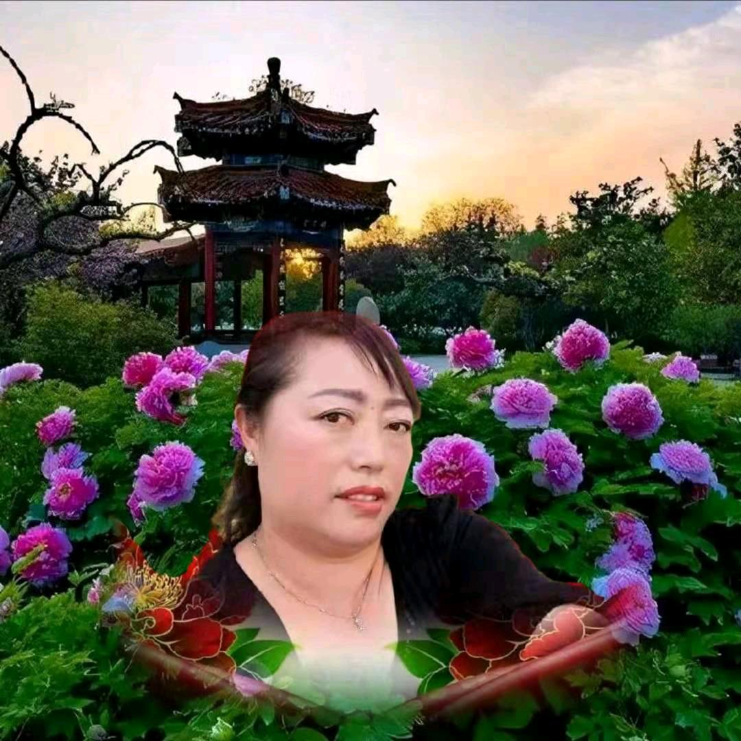 老袁