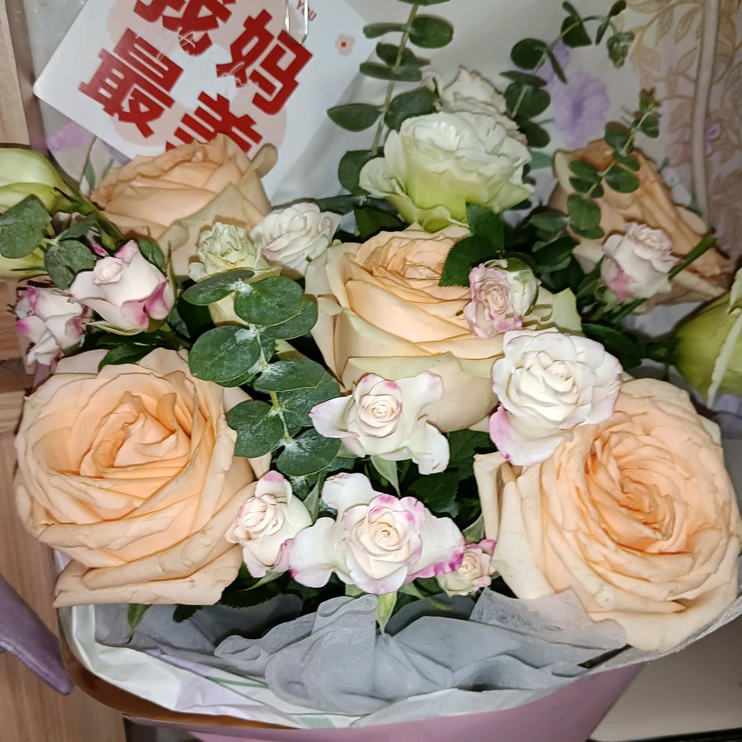 老康