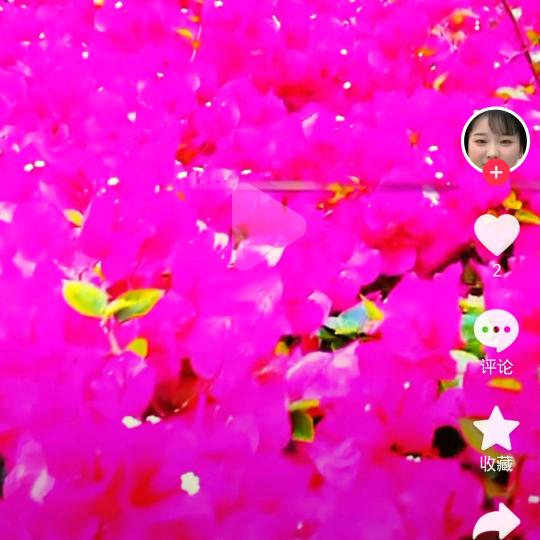 朕999999999999999999☀