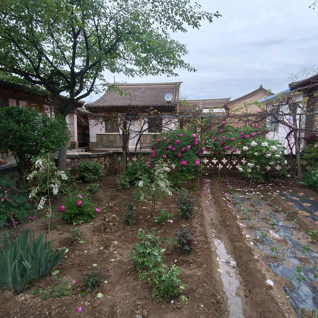 大山之子