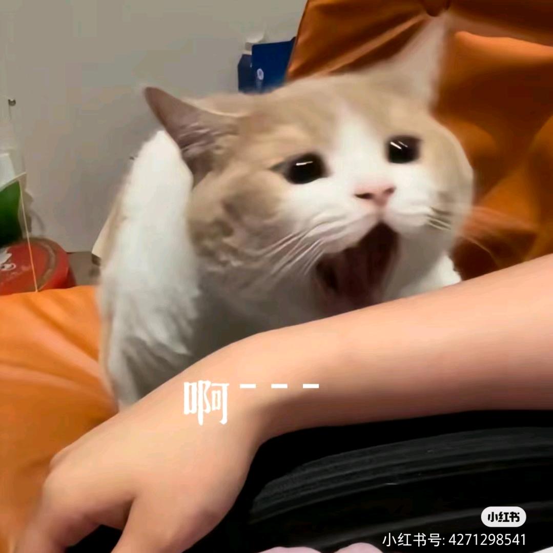 墨.