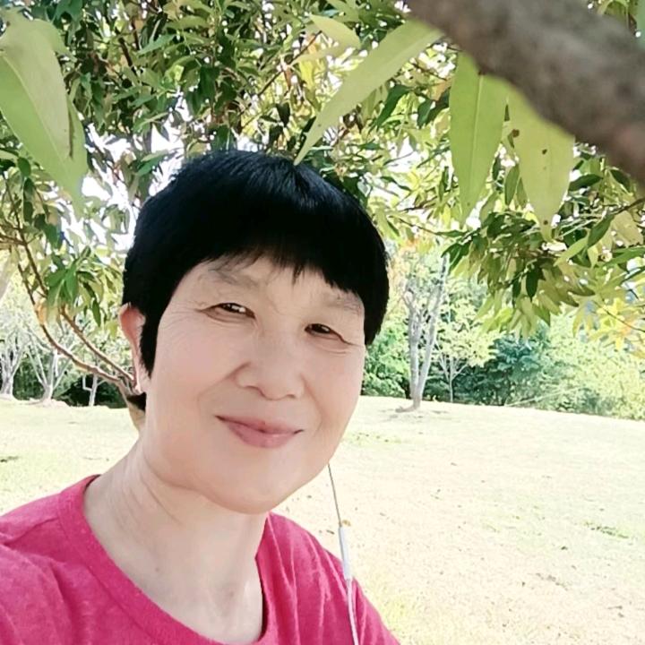 美好的岁月