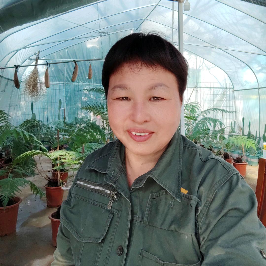彩霞姐