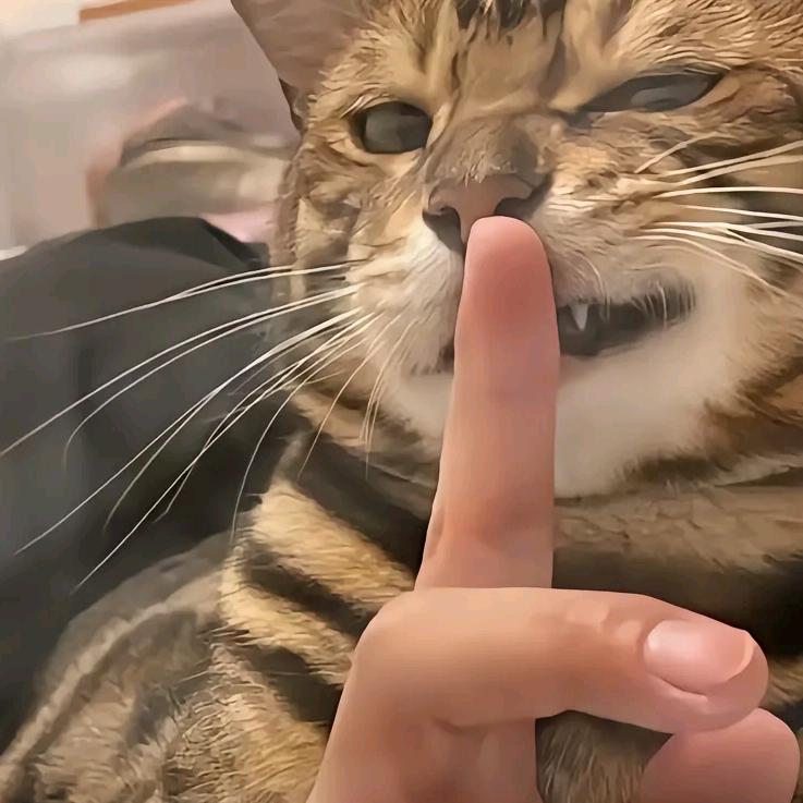 不贱不开心
