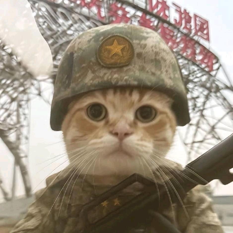 🇨🇳ㅤㅤㅤㅤ