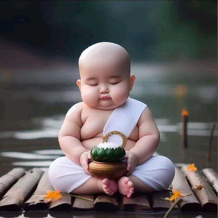 ᔂ༺♥༻ᓿ
