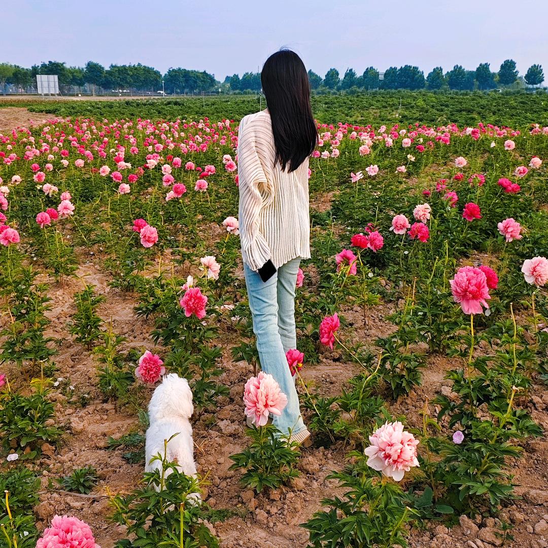 果🍀果
