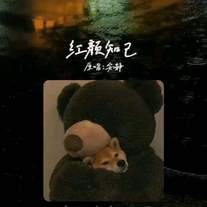 狂子