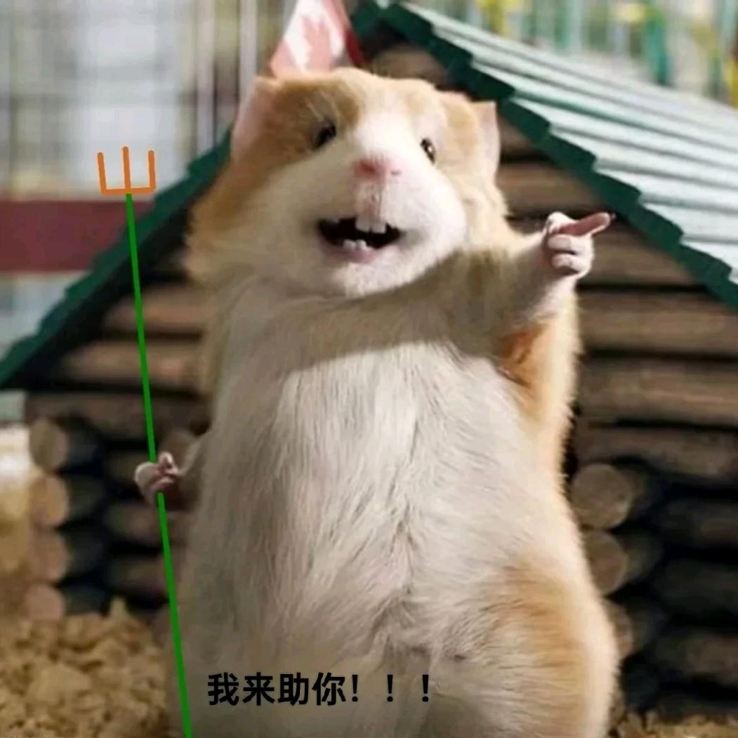 烂命鼠(三角洲跑刀)