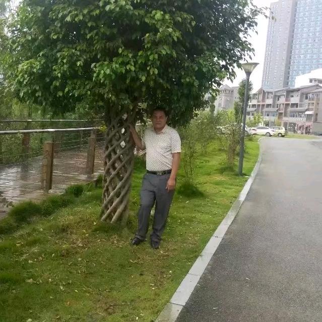 随意