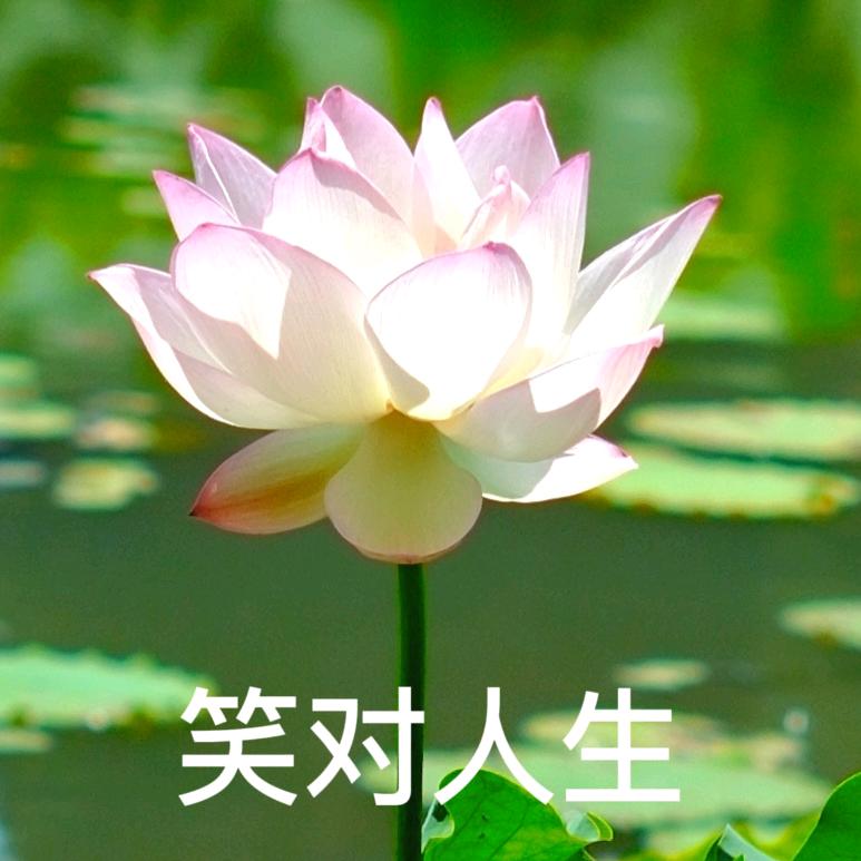 用户5027