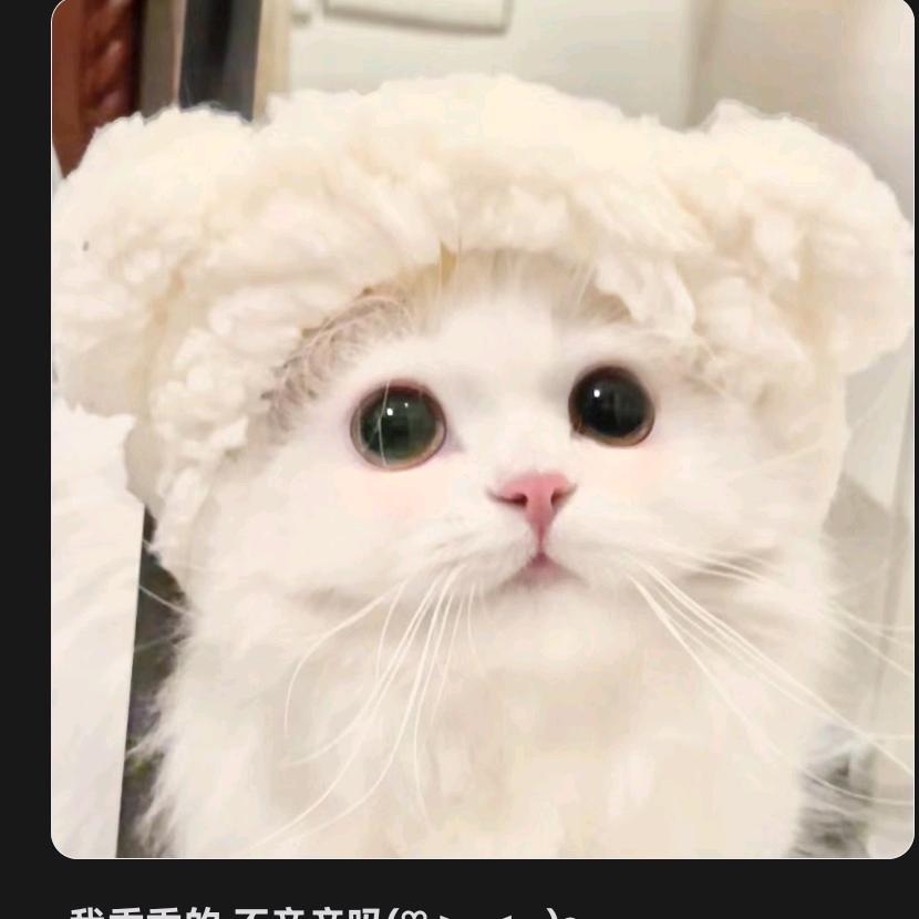 准天