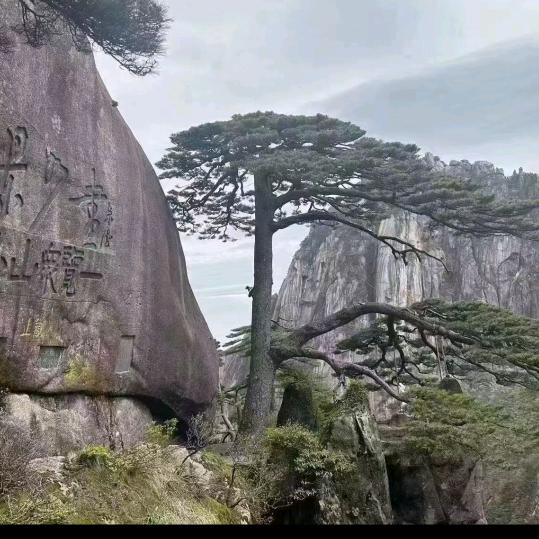 月色撩人