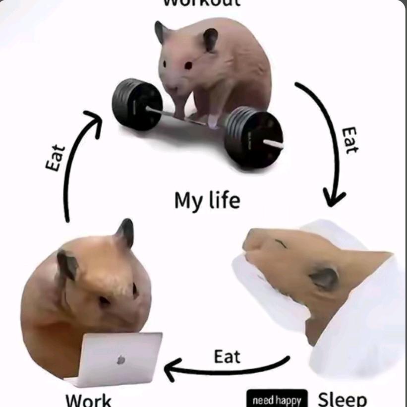 一天一个俯卧撑