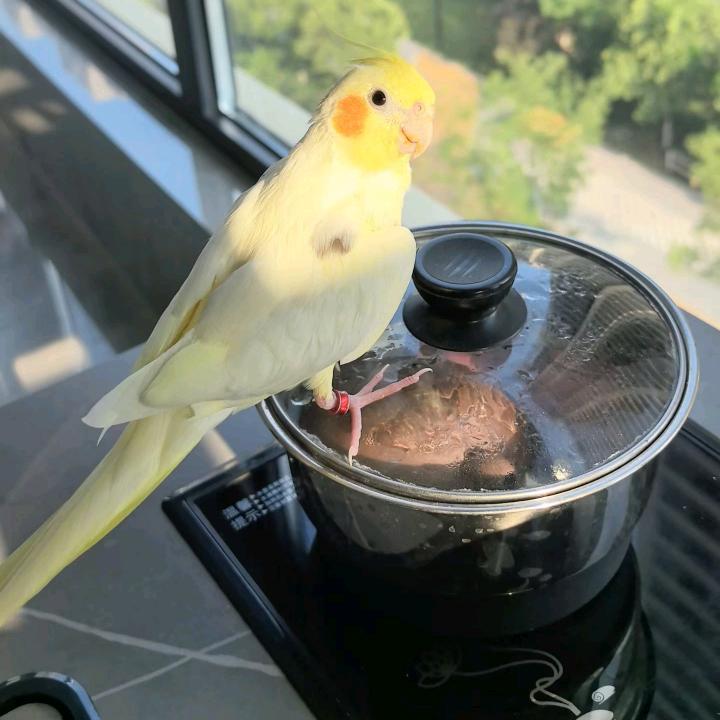 幽梦