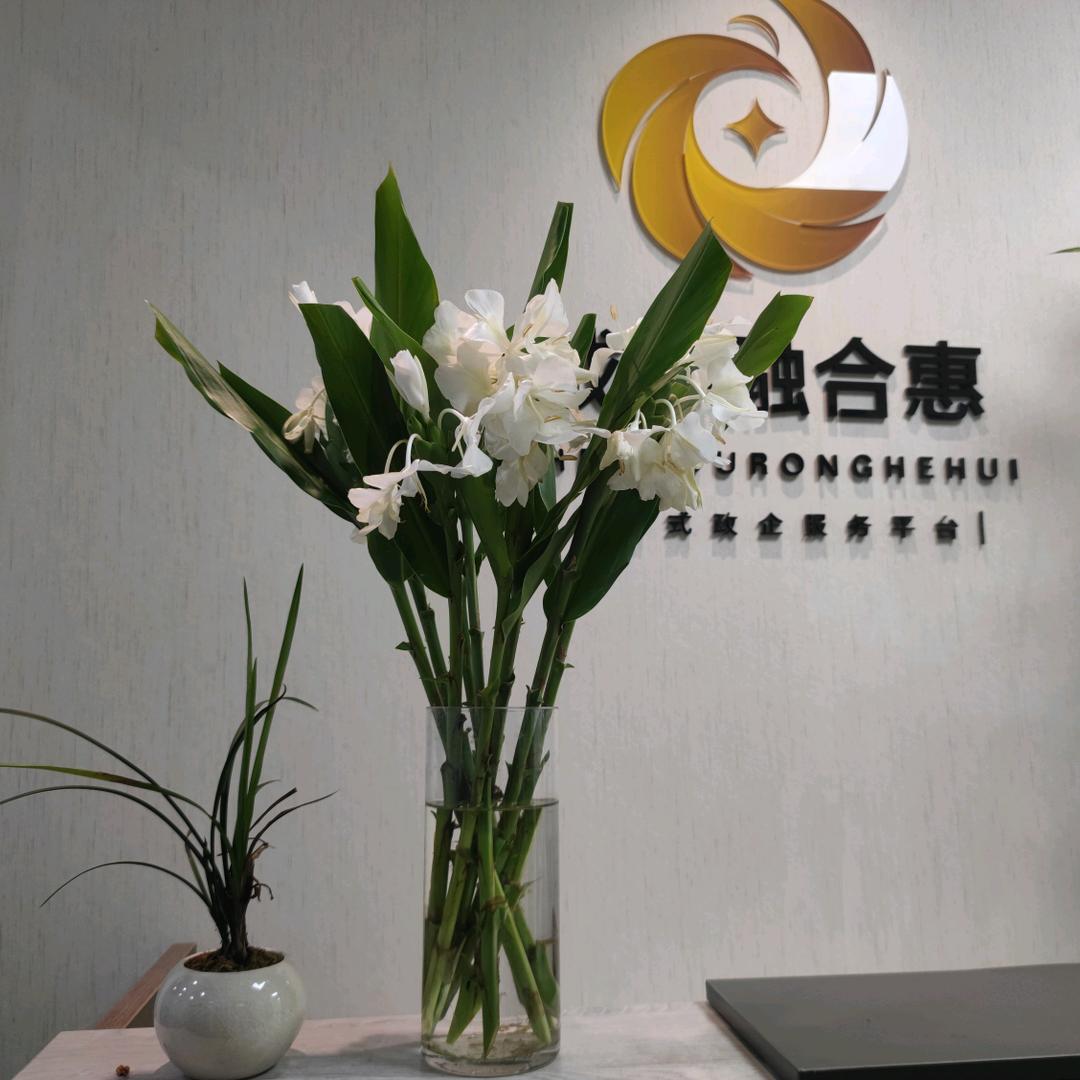 融合惠甜陈老师讲社保
