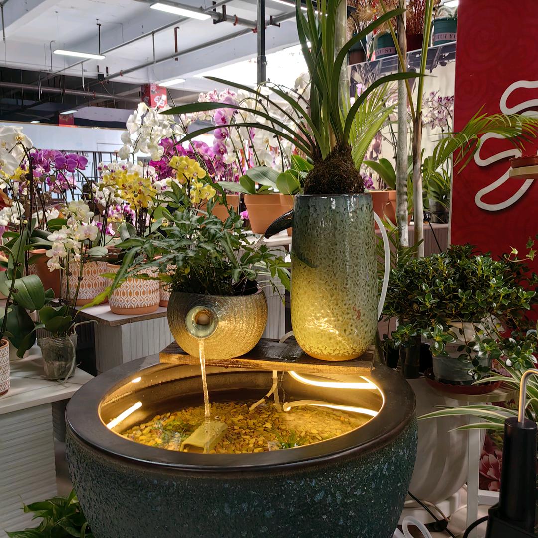 集宁花田予夏绿植鲜花