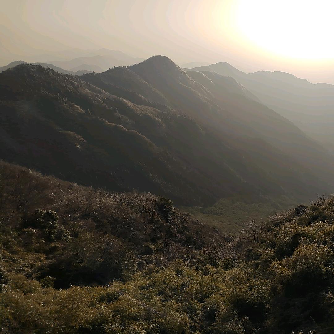 得闲卧青山头像
