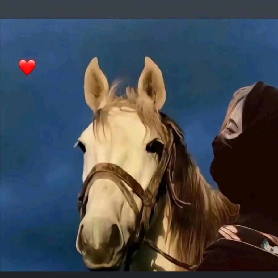 姐的脾气你懂不起