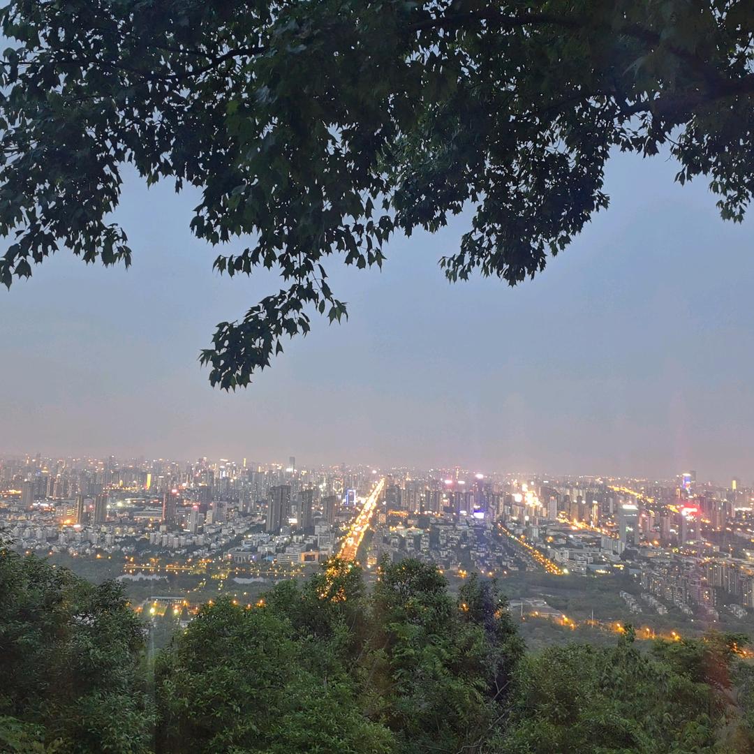 小果