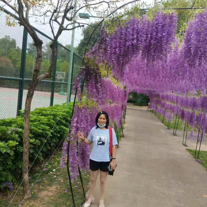 我是青青河边草