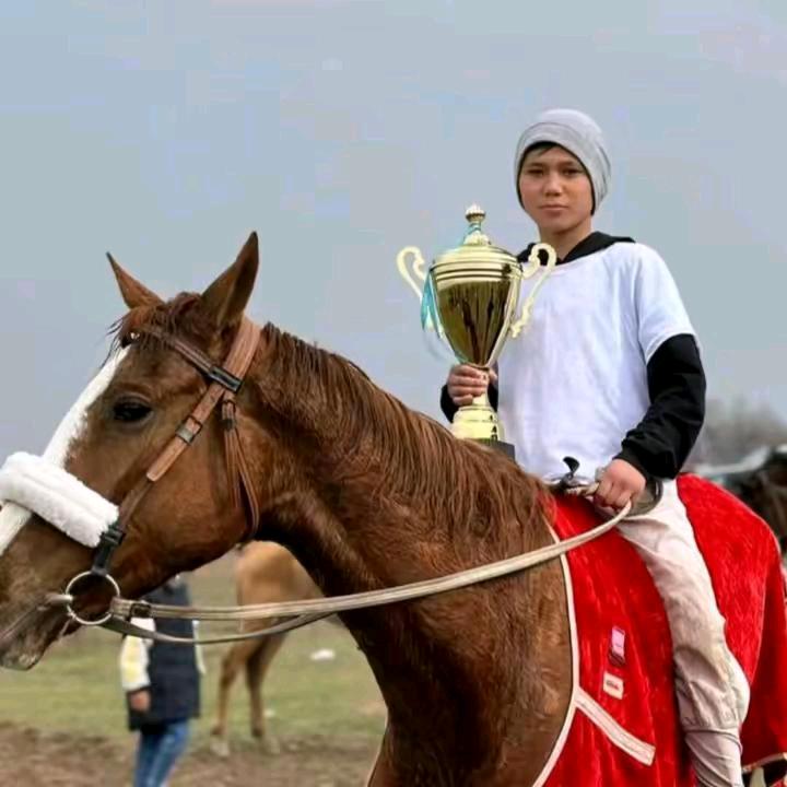 （兴安马业🦅）阿多🧿