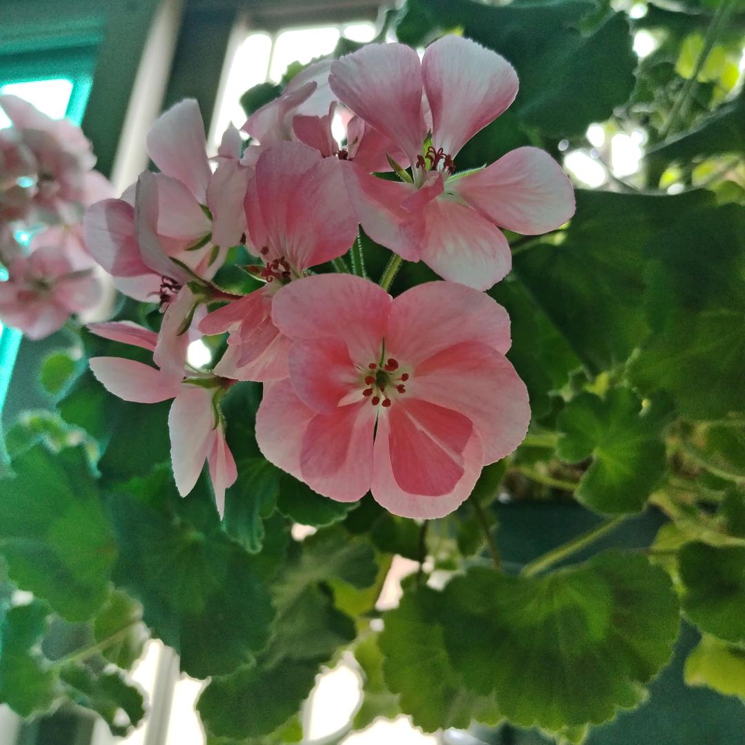 🍀然然